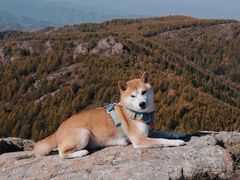 -苏木山森林公园