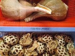 -强记海鲜·大排档(蛇口新街店)