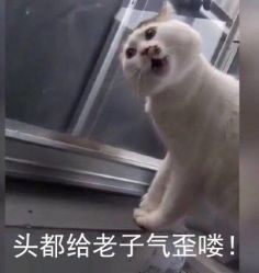 -美莱医学美容医院