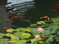 -北京市劳动人民文化宫(太庙)