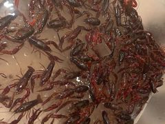 -新希望诺富特酒店-青岛湾中餐厅