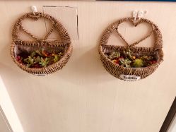 -净妍美肌专业净毛嫩肤连锁机构