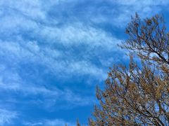 -中央广播电视总台(光华路办公区)