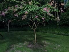 -杭州城北体育公园