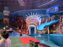 -烟台海昌鲸鲨海洋公园