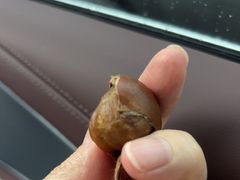 -品忆香炒货工坊(阳阳国际店)