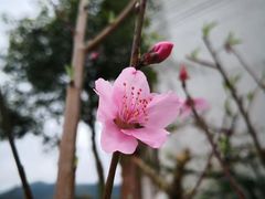 -南武当山景区