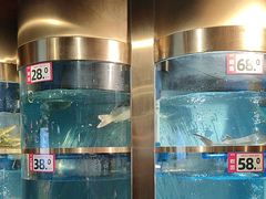 -蜀滋香鲜鱼美蛙火锅(339店)