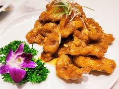 网红锅包肉-老周家酱卤猪蹄私房菜(克拉玛依西街店)