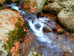 -丹东天桥沟景区