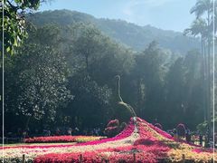 -广州市白云山风景名胜区