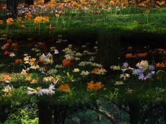 -杭州植物园