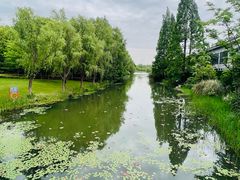 -昆山城市生态森林公园