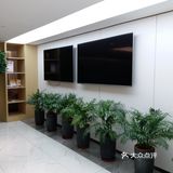  孕早期的检查（4周早孕）