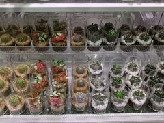 -KKV(深圳宏发大仟里店)