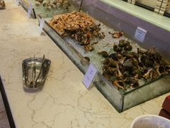 -富力希尔顿酒店·地阔自助餐厅