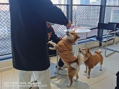 -怪兽屋·羊驼·猫咖·狗咖(俊华广场店)