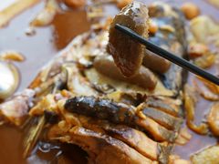 -食神鱼头佛跳墙(百子湾旗舰店)