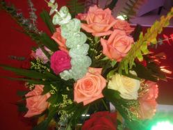 -雅奇婚庆(永乐园社区店)