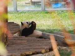 -西安秦岭野生动物园