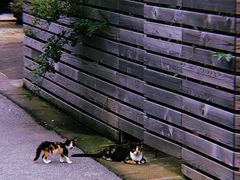 -半岛1919创意园区