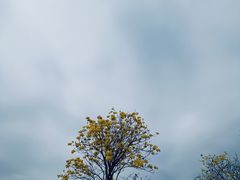 -光明小镇欢乐田园