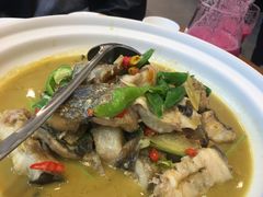 -饭怕鱼(阳光100店)