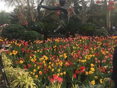 -富力希尔顿酒店·地阔自助餐厅