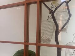 -大浪淘沙(卢湾店)