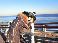 -天津妈祖文化园