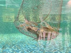 -嘻虾·钓虾工场(东莞总店)