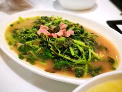 难吃的上汤苋菜-赛百味(仙林金鹰店)