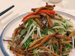 山珍翡翠苗-禄興記香港大排档(歌斐中心店)