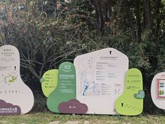 -福田红树林生态公园