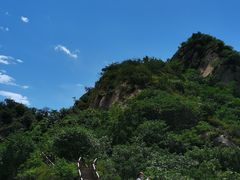 -大岭沟猕猴桃谷风景区