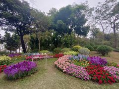 -云溪植物园