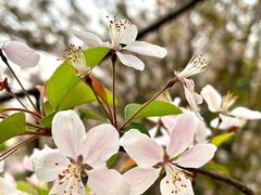 -桤木河湿地公园