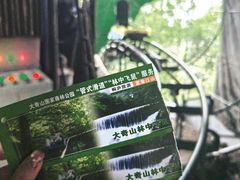 -大奇山国家森林公园