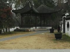 -盆景园(扬州大运河文化旅游度假区)