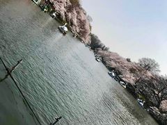 -井之头恩赐公园