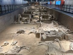 -洛阳周王城天子驾六博物馆