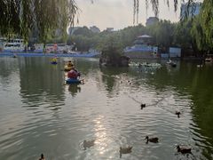 -团结湖公园