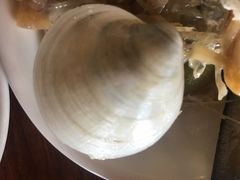 -棕榈滩海景高尔夫俱乐部