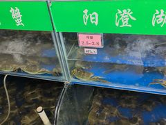 -阳澄湖大闸蟹·琼灵阁牌品牌连锁(吴中总店)