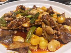 三顾甲鱼-院8里·少城记忆老川菜(宽窄巷子店)