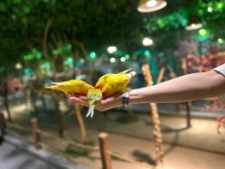 -酷嗒动物文化乐园(cutezoo西溪乐天城店)