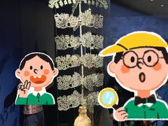 -三星堆博物馆