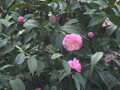 -南山植物园