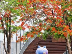 -顺峰山公园