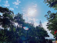 -上海长兴岛郊野公园